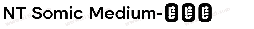 NT Somic Medium字体转换